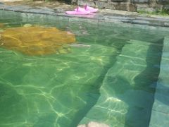 -崇阳三特浪口温泉