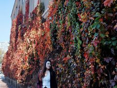 -辽宁大学(崇山校区)