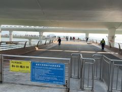 -演武大桥观景平台