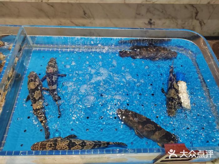 箸福·夜上海(雨花客厅店)图片