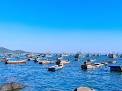 -海源公园