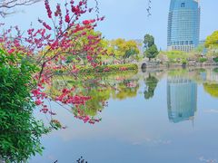 -无锡蠡湖国家湿地公园-蠡园