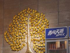 -金枝玉叶上海人家食府(三里河店)