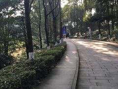 -邓小平故里