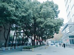 -江苏第二师范学院(草场门校区)