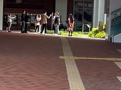 -香港大学