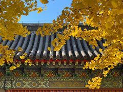 -承恩寺