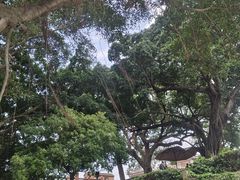 -八卦楼风琴博物馆