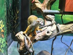 -华夏文旅海洋公园