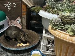 -杨厝六十六农庄农舍(杨厝路店)