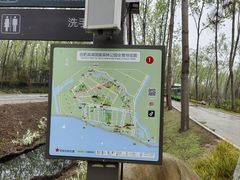 -合肥滨湖国家森林公园