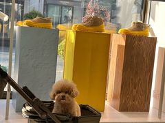 -比斯特上海购物村精品奥特莱斯