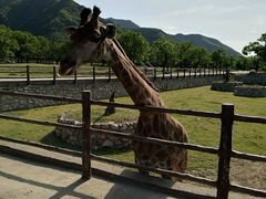 -西安秦岭野生动物园