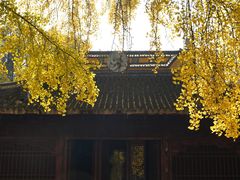 -苏州上方山国家森林公园