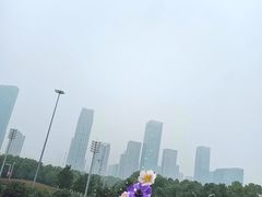 -合肥大剧院