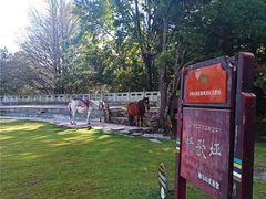 -康定跑马山风景区