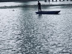 -聚龙湖公园