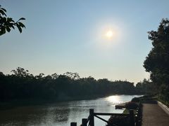 -上海海湾国家森林公园