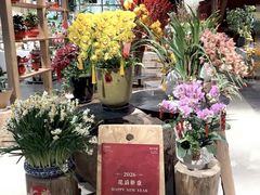 -瑞虹新天地月亮湾