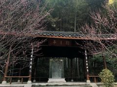 -杭州植物园