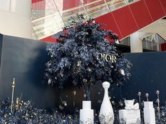 -Dior迪奥(上海世茂广场店)
