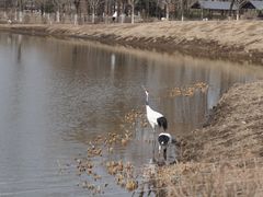 -沈阳森林动物园