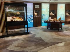 -福州长乐国际机场