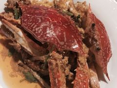 -Red Lobster