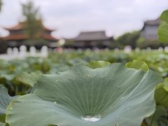 -大悲禅寺