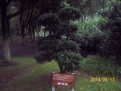 -昆山城市生态森林公园