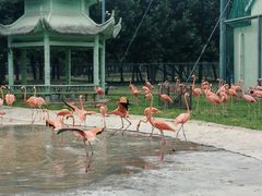 -秦皇岛野生动物园