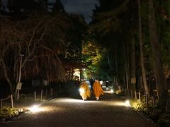 -醍醐寺