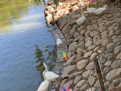 -南宫五洲植物乐园