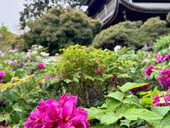 -龙华寺