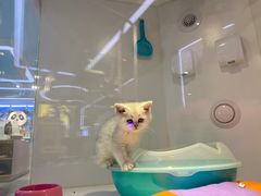 -龟与熊猫宠物公园(南坪店)
