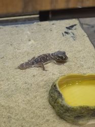 -Zoolung Zoolung动物主题公园(海信广场店)