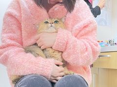 -美联众合爱康动物医院•复杂内科•肿瘤科•牙科•腔镜诊疗中心