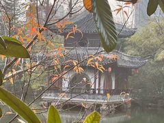 -水绘园