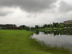 -两河城市森林公园