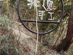 -千岛湖天屿景区