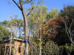 -昆山城市生态森林公园