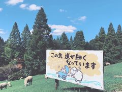 -神户市立六甲山牧场