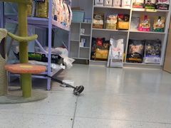 -爱诺动物医院(崂山店)