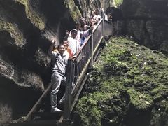 -梦幻奥陶纪景区