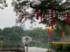 -荔湾湖公园