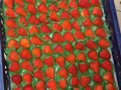 -百果园PAGODA(爱华市场店)