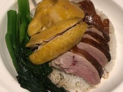 烧鹅拼油鸡饭-新宝餐厅(流塘店)