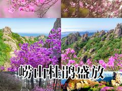 -崂山巨峰游览区