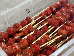 -横琴购口岸商业广场