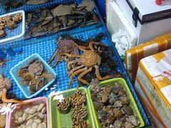 -霞涌市场海鲜摆卖区